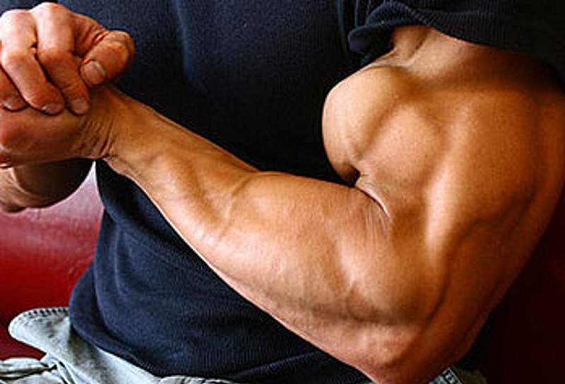 How To Build A Bigger Biceps Peak