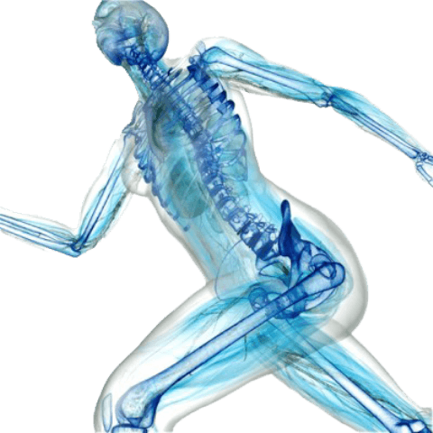 3 способа укрепления костей