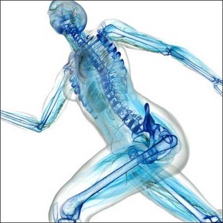 3 Ways To Keep Bones Strong For Life