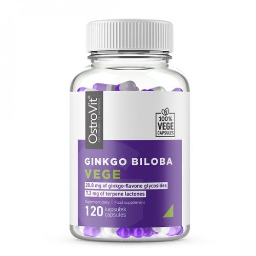 OstroVit Ginkgo Biloba VEGE 120 caps,  ml, OstroVit. Special supplements. 
