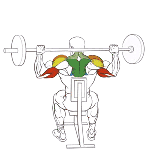 Exercise: Seated Behind-the-Neck Barbell Press