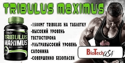 BioTech  TRIBULUS MAXIMUS 90 шт. / 90 servings,  мл, BioTech. Трибулус