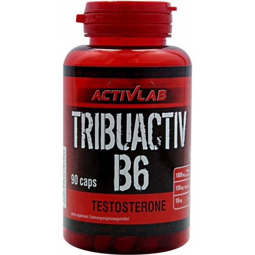 Activlab Tribuactiv B6 90 caps,  ml, ActivLab. Testosterona Boosters. General Health Libido enhancing Anabolic properties Testosterone enhancement 