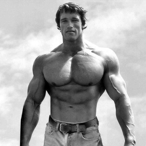31 consejos valiosos de Arnie