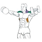 Exercise: Dumbbell Lateral Raise