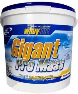 Gigant Pro Mass, 5000 g, Pro Nutrition. Ganadores. Mass Gain Energy & Endurance recuperación 