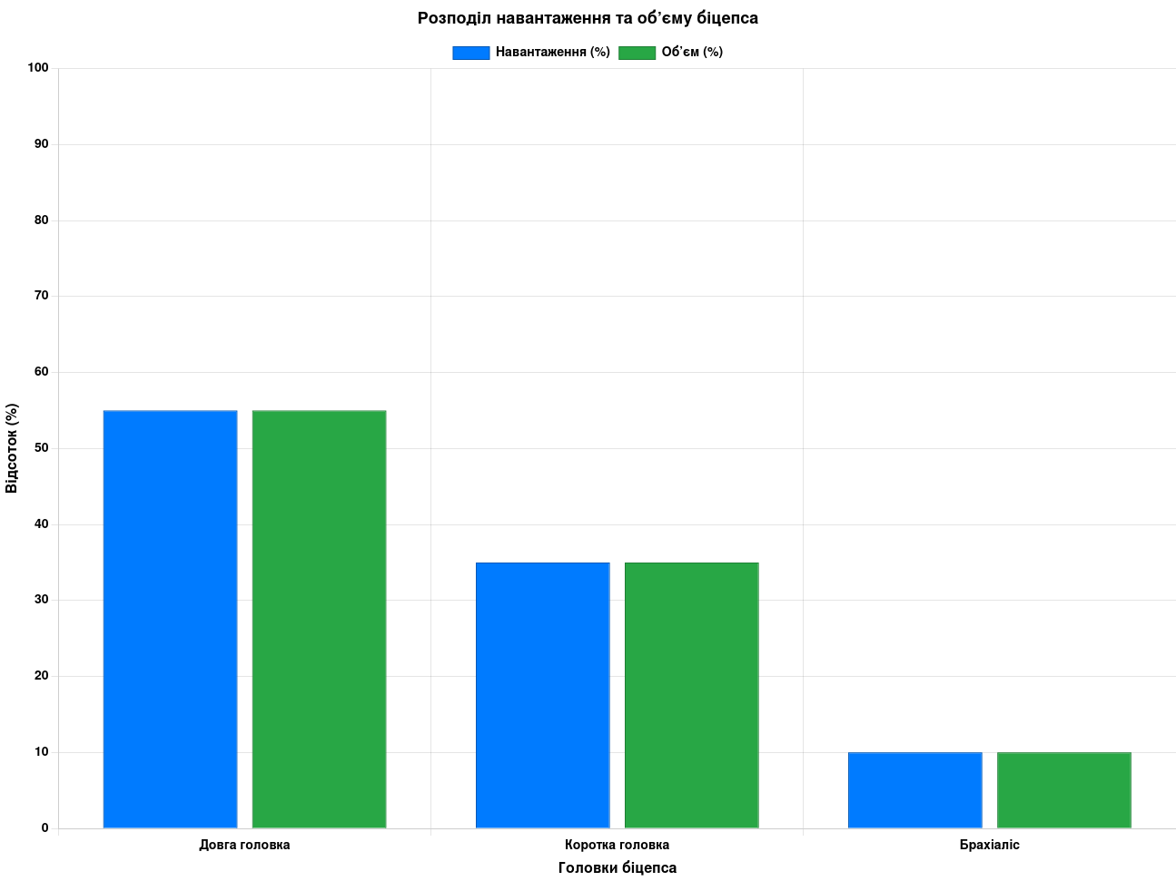 Анатомія біцепса