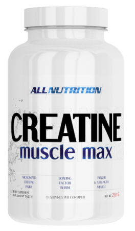 Creatine Muscle Max, 250 г, AllNutrition. Креатин моногидрат. Набор массы Энергия и выносливость Увеличение силы 