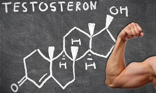 5 методов повышения уровня собственного тестостерона