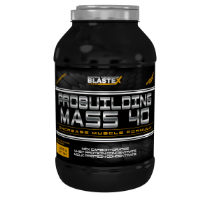 Probuilding Mass 40, 2800 g, Blastex. Gainer. Mass Gain Energy & Endurance स्वास्थ्य लाभ 