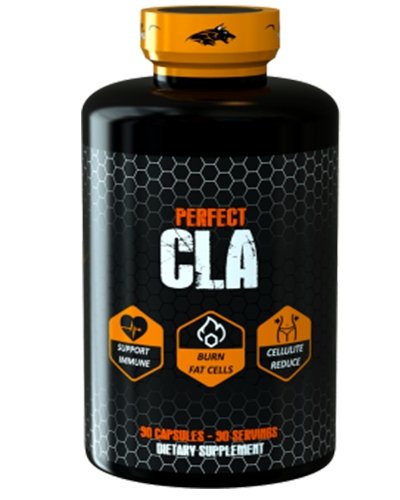 Perfect CLA, 90 шт, Amarok Nutrition. CLA. 