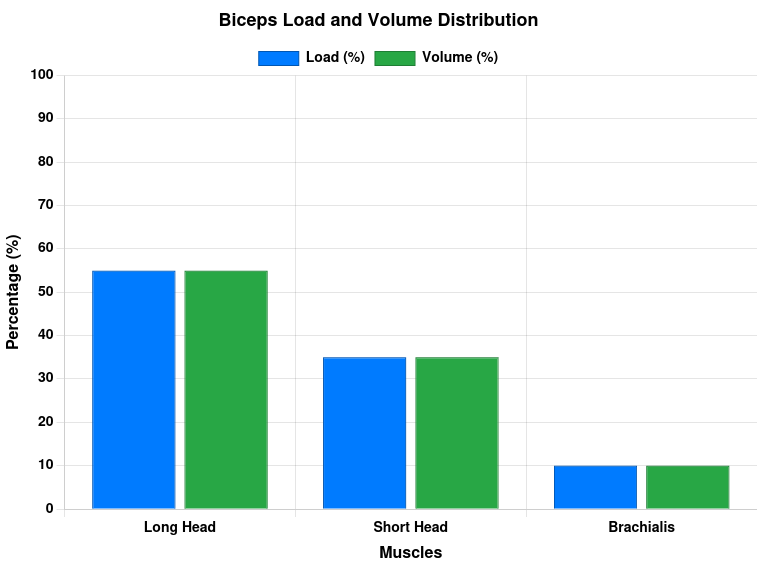 Biceps Load and Volume Distribution