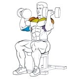Exercise: Arnold Press