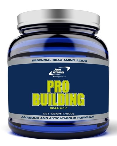 Pro Building, 500 g, Pro Nutrition. BCAA. Weight Loss recovery Anti-catabolic properties Lean muscle mass 