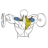 Exercise: Barbell Upright Row