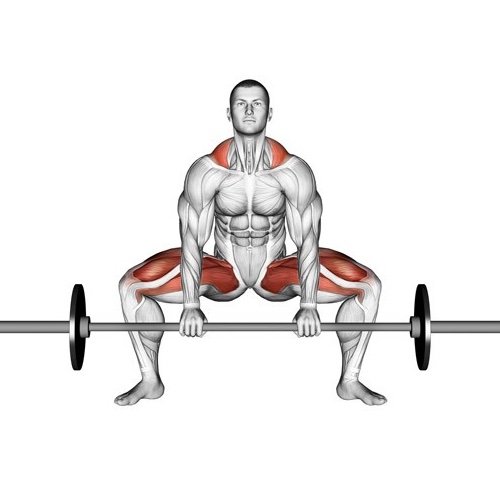 Упражнение: становая тяга «сумо»
