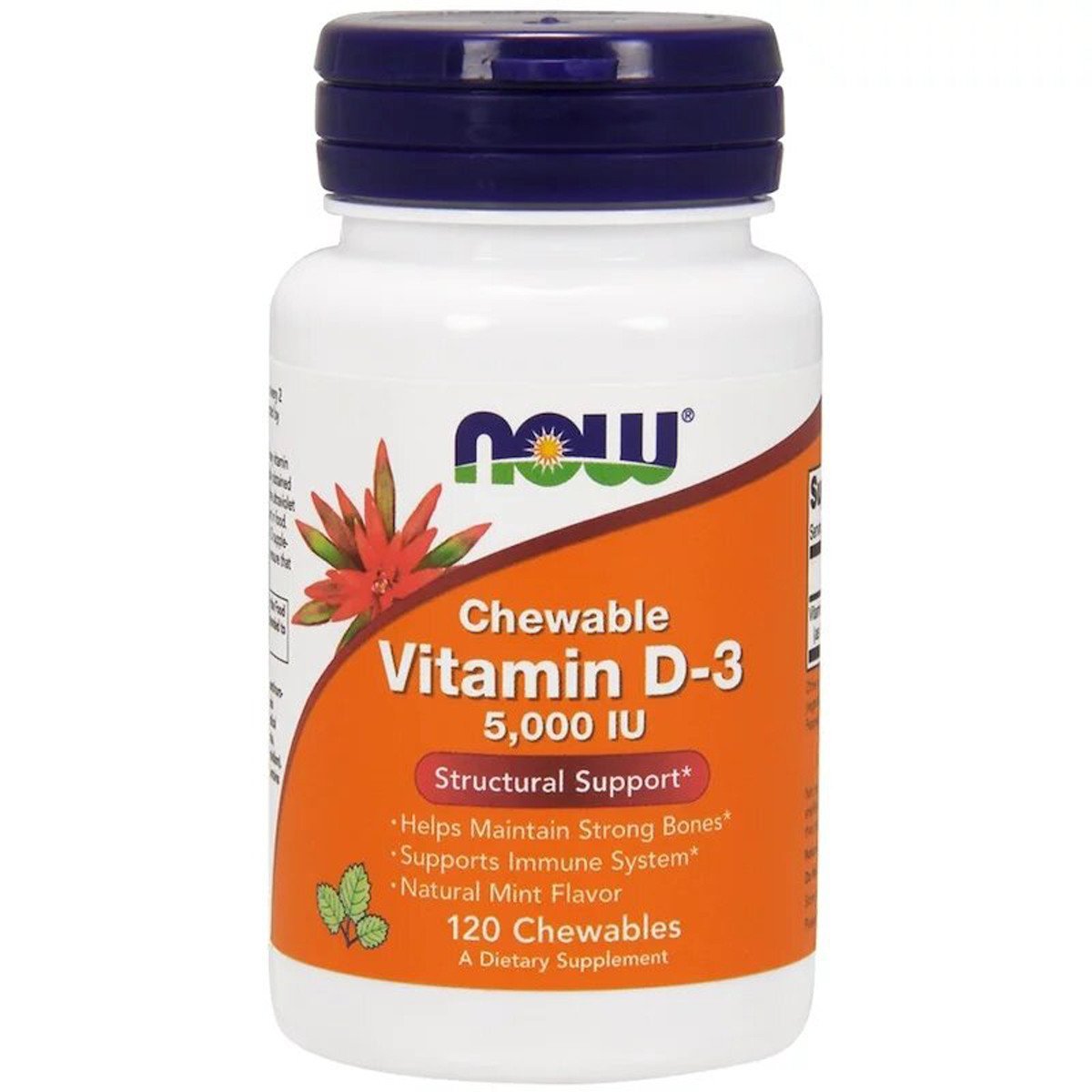 Now Витамин Д3 с Ментоловым Вкусом, Vitamin D-3, Now Foods, 5000 МЕ, 120 жевательных таблеток, , 