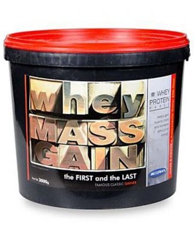 Whey Mass Gain, 3000 g, Megabol. Gainer. Mass Gain Energy & Endurance recovery 