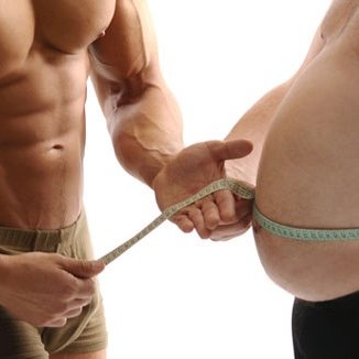 Влияние гормонов на отложение жиров