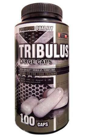 Tribulus Large Caps, 100 шт, Vision Nutrition. Трибулус. Поддержание здоровья Повышение либидо Повышение тестостерона Aнаболические свойства 
