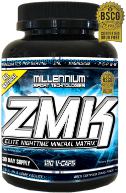 Millennium Sport Technologies ZMK от  120 шт. / 30 servings,  ml, Millennium Sport Technologies. Vitamin Mineral Complex. General Health Immunity enhancement 