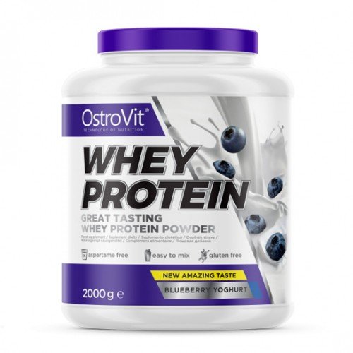 Протеин OstroVit Whey Protein, 2 кг Черника,  ml, OstroVit. Protein. Mass Gain recovery Anti-catabolic properties 