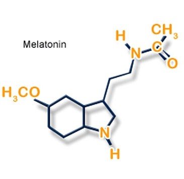 Что такое мелатонин
