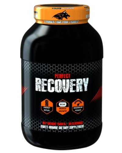 Amarok Nutrition Perfect Recovery, , 1500 г