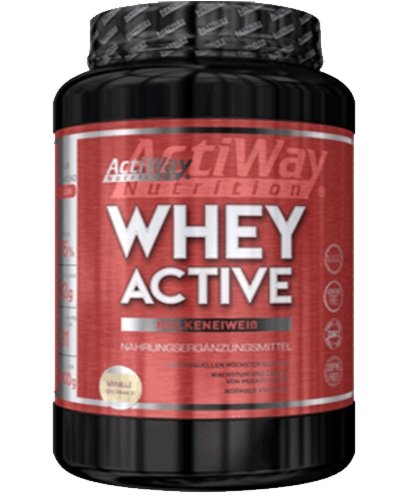 Whey Active, 1000 г, ActiWay Nutrition. Комплекс сывороточных протеинов. 