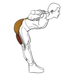 Упражнение: наклоны вперед со штангой на плечах