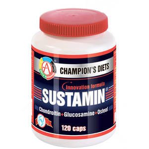 Sustamin, 120 шт, Academy-T. Глюкозамин Хондроитин. Поддержание здоровья Укрепление суставов и связок 