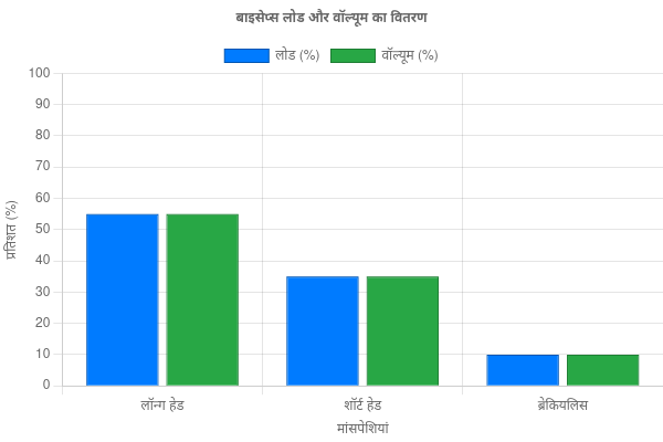 बाइसेप्स की एनाटॉमी