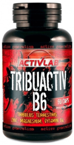 Tribuactiv B6, 90 pcs, ActivLab. Tribulus. General Health Libido enhancing Testosterone enhancement Anabolic properties 