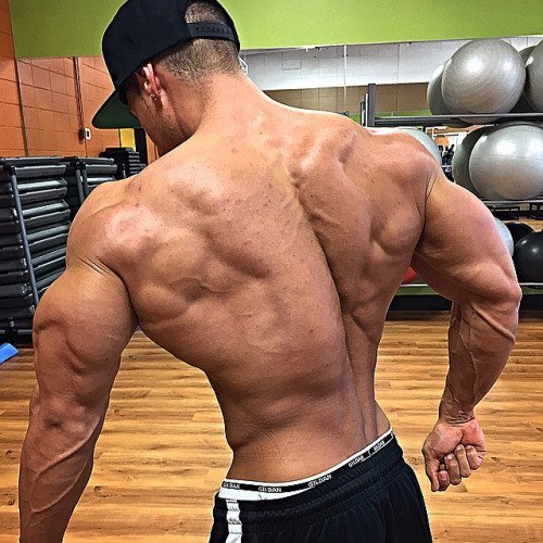 18 Laws of Back Training