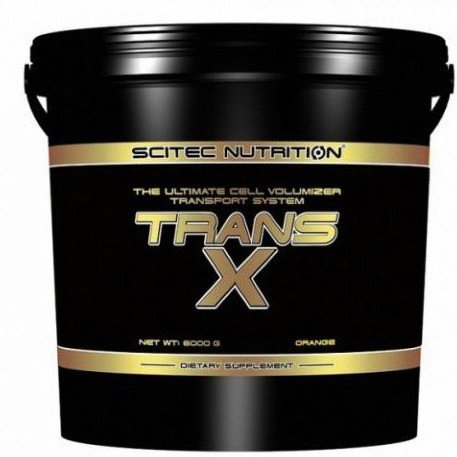 Trans X, 6000 g, Scitec Nutrition. Creatine monohydrate. Mass Gain Energy & Endurance Strength enhancement 