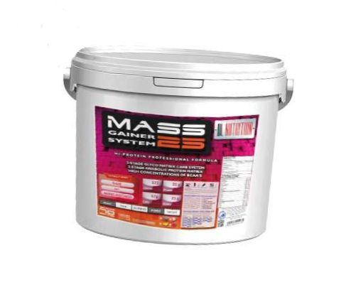 Mass Gainer System 25, 4500 g, DL Nutrition. Gainer. Mass Gain Energy & Endurance recovery 